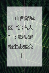山西潞城区“追鸟人”：镜头定格生态蝶变