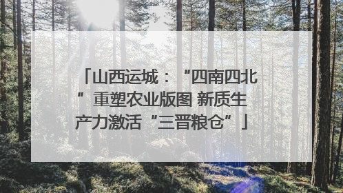 山西运城：“四南四北”重塑农业版图 新质生产力激活“三晋粮仓”