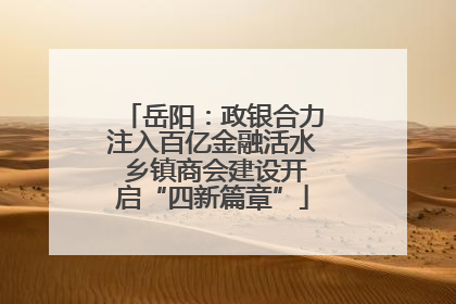 岳阳：政银合力注入百亿金融活水 乡镇商会建设开启“四新篇章”