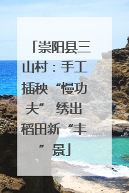 崇阳县三山村：手工插秧“慢功夫” 绣出稻田新“丰”景