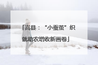 嵩县：“小蚕茧”织就助农增收新画卷
