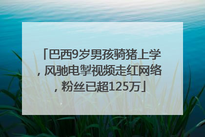 巴西9岁男孩骑猪上学，风驰电掣视频走红网络，粉丝已超125万