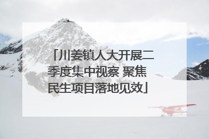 川姜镇人大开展二季度集中视察 聚焦民生项目落地见效