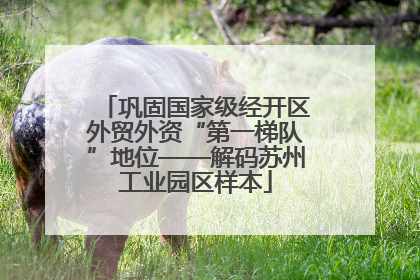 巩固国家级经开区外贸外资“第一梯队”地位——解码苏州工业园区样本