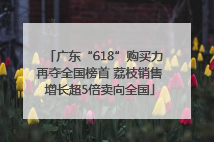 广东“618”购买力再夺全国榜首 荔枝销售增长超5倍卖向全国