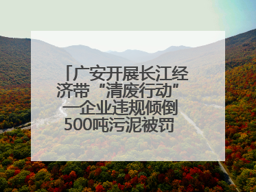 广安开展长江经济带“清废行动” 一企业违规倾倒500吨污泥被罚8万元