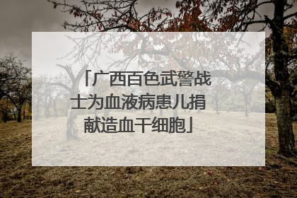 广西百色武警战士为血液病患儿捐献造血干细胞