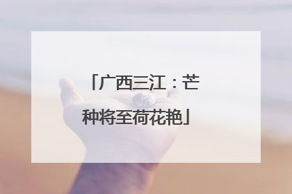 广西三江：芒种将至荷花艳