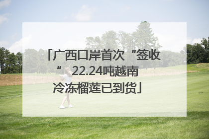 广西口岸首次“签收” 22.24吨越南冷冻榴莲已到货
