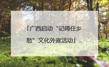 广西启动“记得住乡愁”文化外宣活动