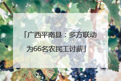 广西平南县：多方联动为66名农民工讨薪