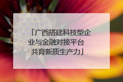 广西搭建科技型企业与金融对接平台 共育新质生产力