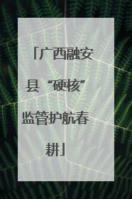 广西融安县“硬核”监管护航春耕