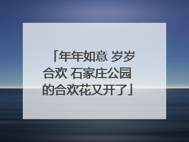 年年如意 岁岁合欢 石家庄公园的合欢花又开了