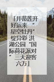并蒂莲开好运来 “星空牡丹”绽异彩 洪湖公园“国际荷花派对”三天迎客六万