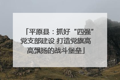 平原县：抓好“四强”党支部建设 打造党旗高高飘扬的战斗堡垒