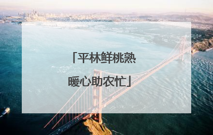 平林鲜桃熟 暖心助农忙