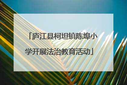 庐江县柯坦镇陈埠小学开展法治教育活动