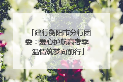 建行衡阳市分行团委：爱心护航高考季 温情筑梦向前行