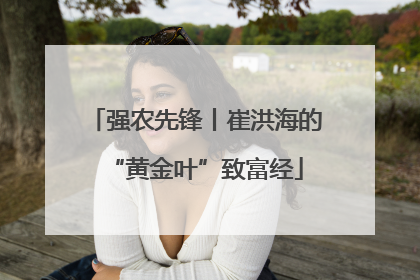强农先锋丨崔洪海的“黄金叶”致富经
