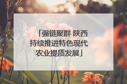 强链聚群 陕西持续推进特色现代农业提质发展