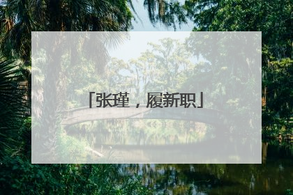 张瑾，履新职