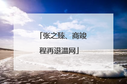 张之臻、商竣程再退温网