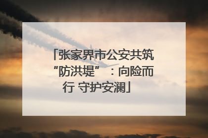 张家界市公安共筑“防洪堤”：向险而行 守护安澜