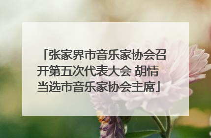 张家界市音乐家协会召开第五次代表大会 胡情当选市音乐家协会主席