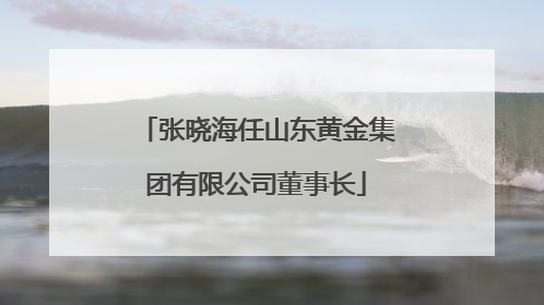 张晓海任山东黄金集团有限公司董事长