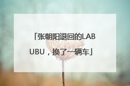 张朝阳退回的LABUBU，换了一辆车