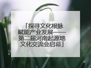 探寻文化根脉 赋能产业发展——第二届河南起源地文化交流会启幕