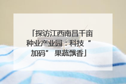 探访江西南昌千亩种业产业园：科技“加码” 果蔬飘香