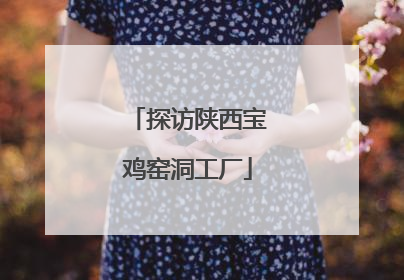 探访陕西宝鸡窑洞工厂