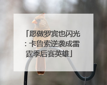 愿做罗宾也闪光：卡鲁索逆袭成雷霆季后赛英雄