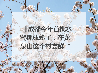 成都今年首批水蜜桃成熟了，在龙泉山这个村尝鲜“第一口”｜寻找和美乡村推荐官