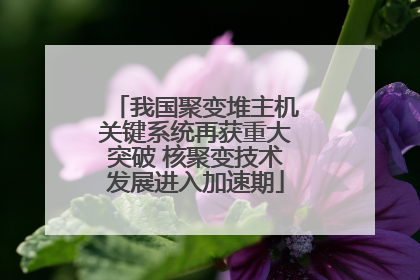 我国聚变堆主机关键系统再获重大突破 核聚变技术发展进入加速期