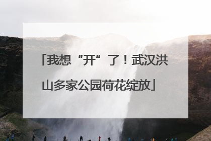 我想“开”了！武汉洪山多家公园荷花绽放