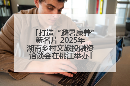 打造“避暑康养”新名片 2025年湖南乡村文旅投融资洽谈会在桃江举办