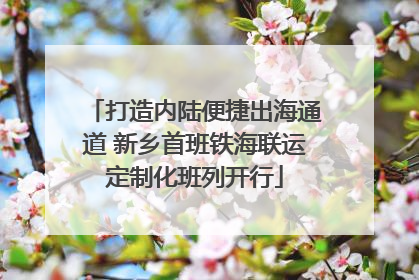 打造内陆便捷出海通道 新乡首班铁海联运定制化班列开行