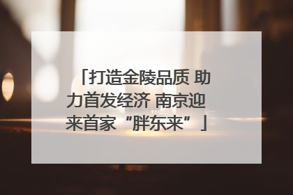 打造金陵品质 助力首发经济 南京迎来首家“胖东来”