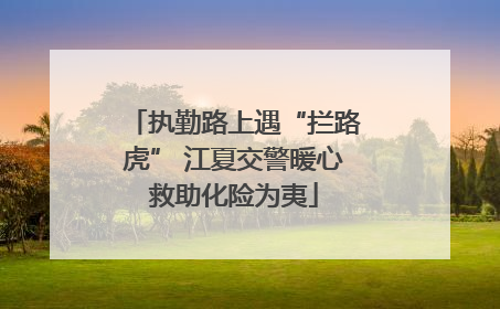 执勤路上遇“拦路虎” 江夏交警暖心救助化险为夷