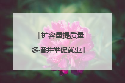 扩容量提质量 多措并举促就业