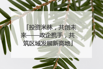 投资米林，共创未来——政企携手，共筑区域发展新高地