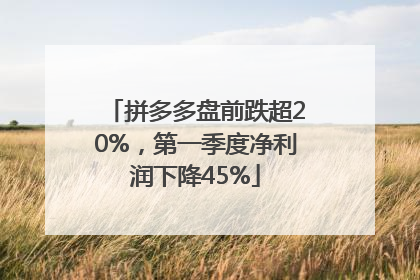 拼多多盘前跌超20%，第一季度净利润下降45%