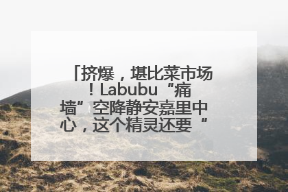 挤爆，堪比菜市场！Labubu“痛墙”空降静安嘉里中心，这个精灵还要“突袭”便利店？