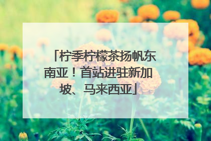 柠季柠檬茶扬帆东南亚！首站进驻新加坡、马来西亚