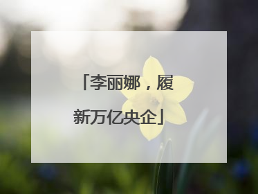 李丽娜，履新万亿央企