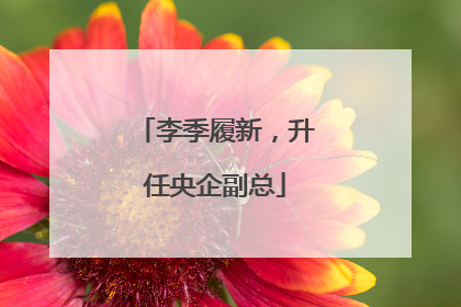 李季履新，升任央企副总