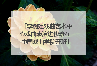 李树建戏曲艺术中心戏曲表演进修班在中国戏曲学院开班